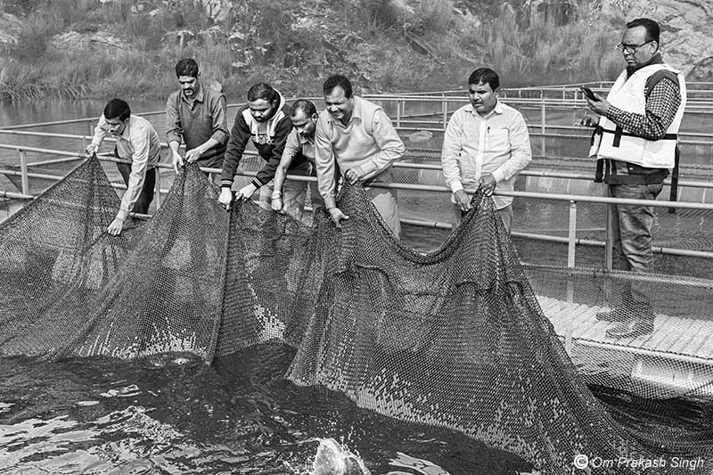 The nylon net cage body inside which the fish are raised at the fish farm in the mining pit in Nandna village, Dumka district, Jharkhand